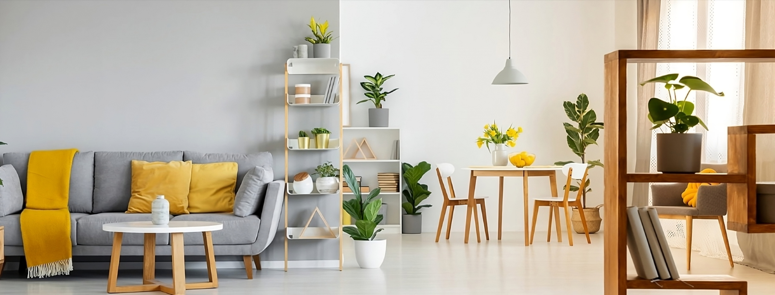 Χρώματα οικοδομής Soframap